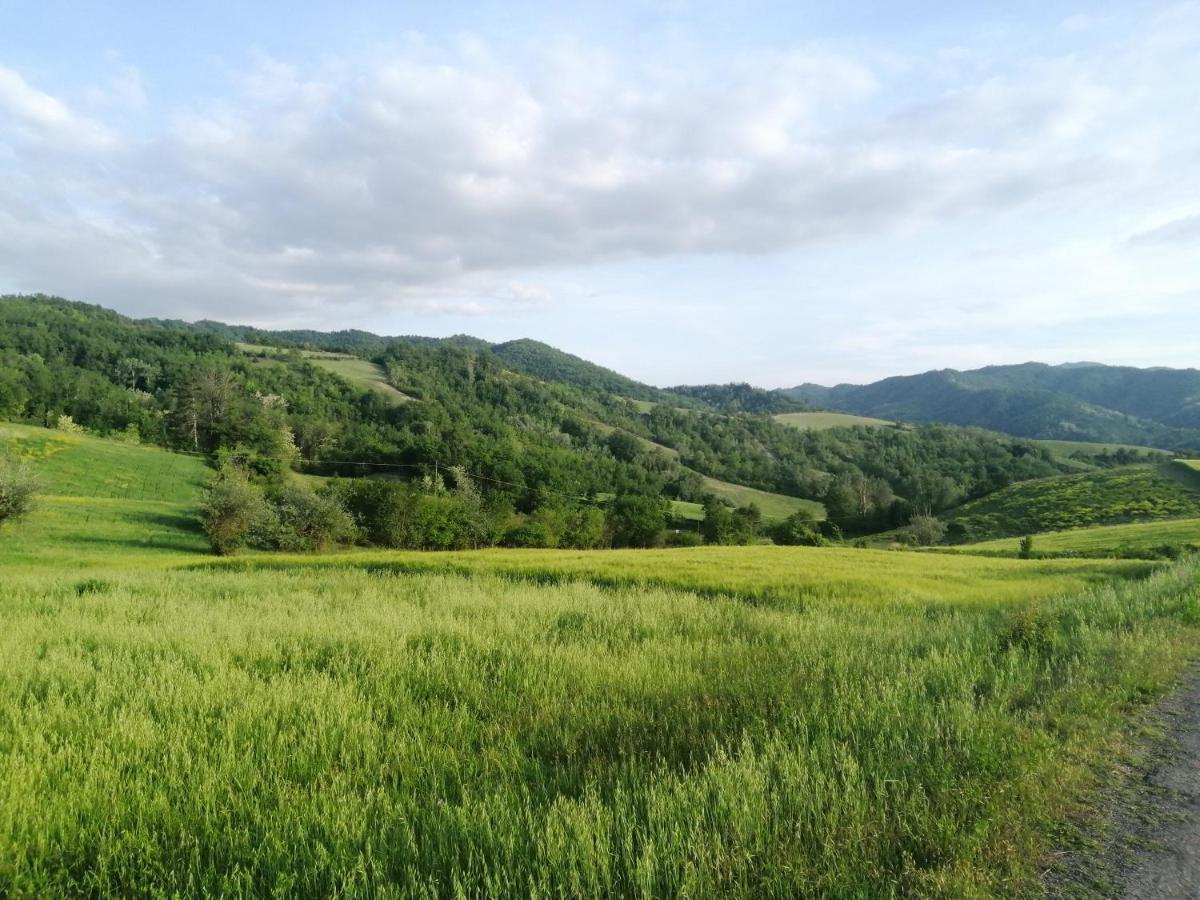 Felix House Bed & Breakfast Codevilla ภายนอก รูปภาพ
