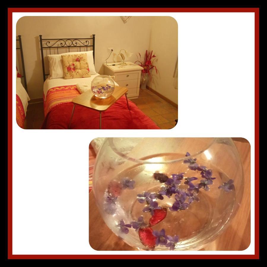 Felix House Bed & Breakfast Codevilla ภายนอก รูปภาพ
